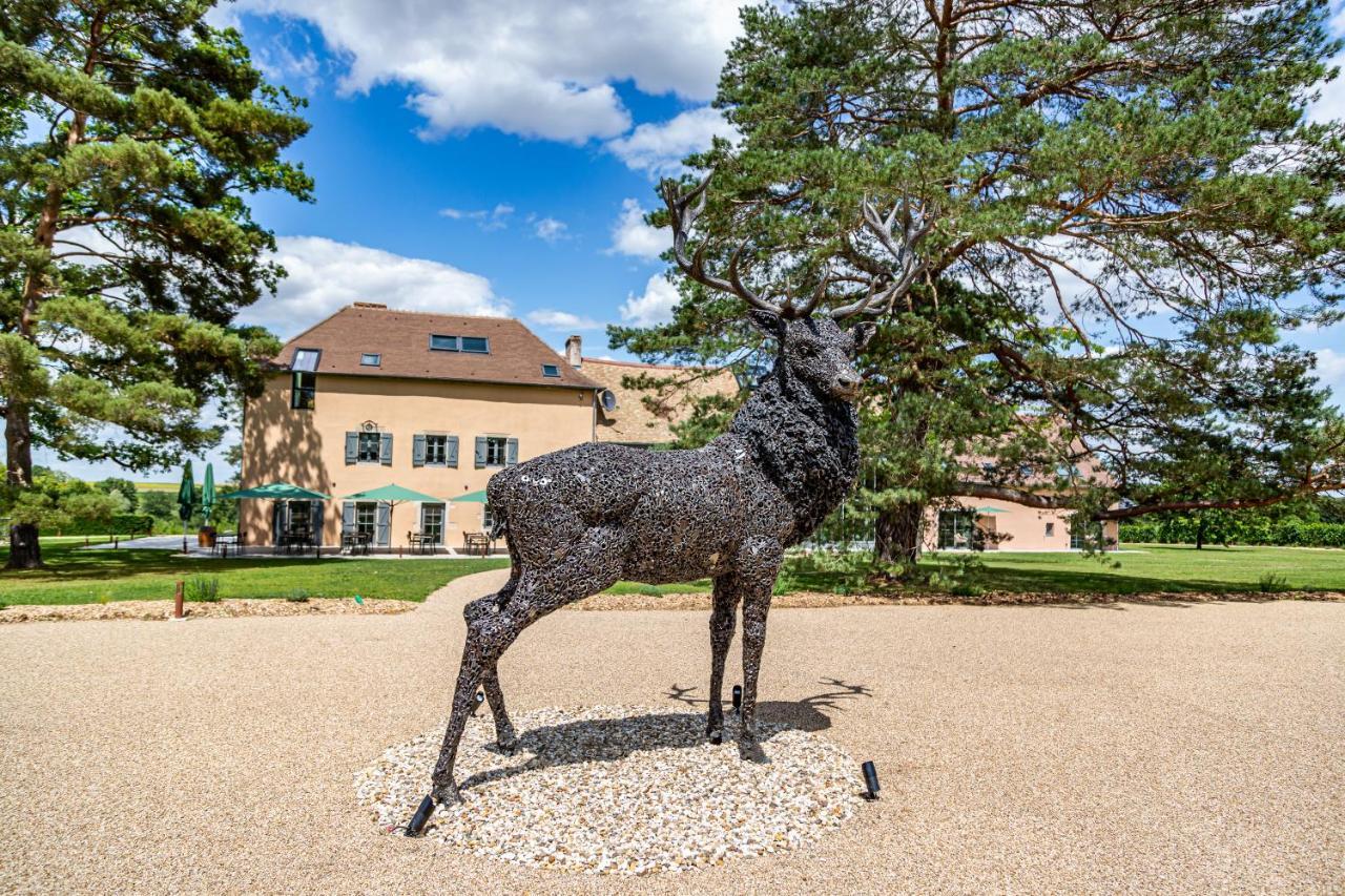 Hotel Hameau Des 40 Arpents Gergy Esterno foto